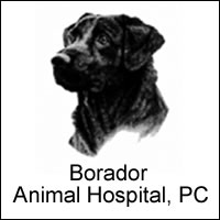 Borador Animal Hospital Link