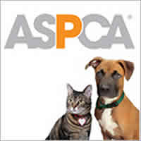 ASPCA Link