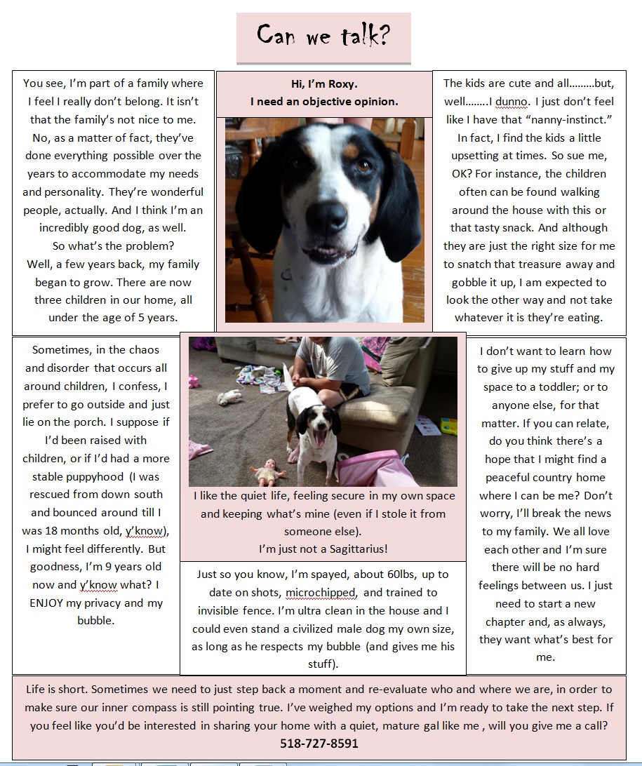 Info About Animals Info About Animals