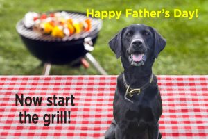 Troy TASP Father's Day, Patriotic Fantasy Pet Photos @ Pet Supplies Plus